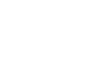 Rock Solid, Inc.